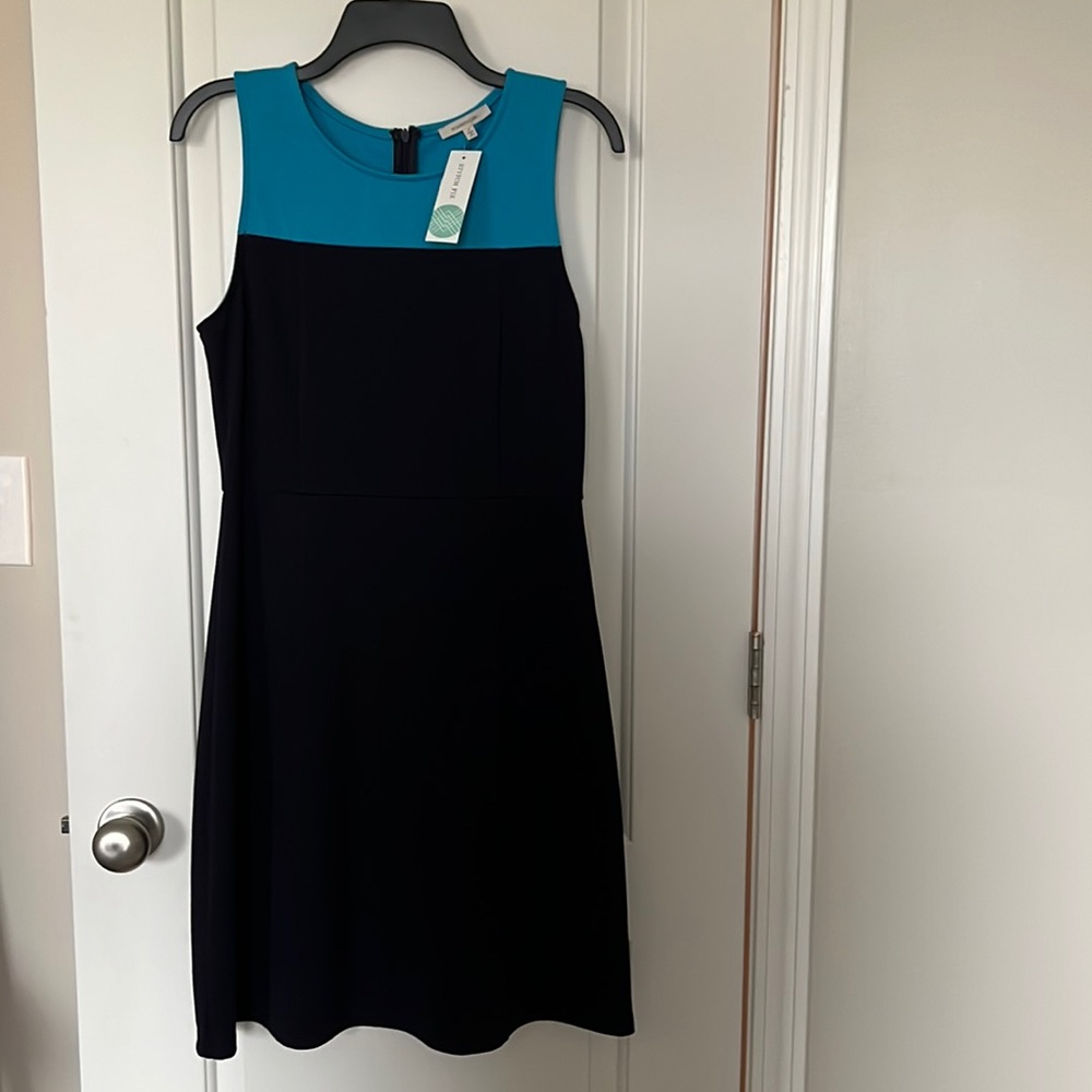41 Hawthorn Lucinda Colorblock knit dress